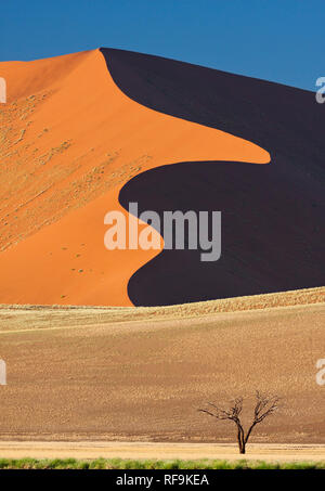 Sand dunes at Soussusvlei,  Namib-Naukluft National Park, Namibia, Africa Stock Photo