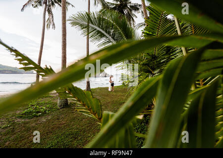 Young couple on the seashore hugging and rubbing noses at each other. The picture was taken through the branches of palm trees.