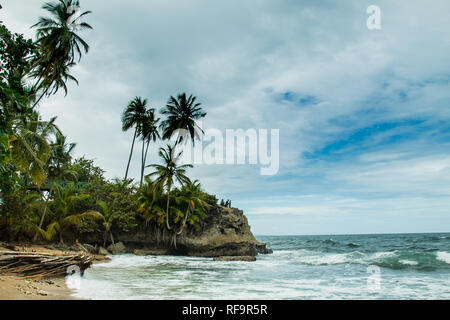 A landscape photo of beautiful tropical coast line (with palm trees and sandy beach) of Manzanillo National park, Costa Rica. Stock Photo