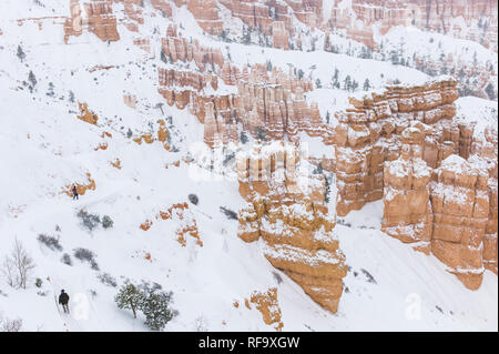 High altitude Bryce Canyon National Park, Paunsaugunt Plateau, Utah, gets snow in winter providing contrast for the park's famous red rock hoodoos Stock Photo