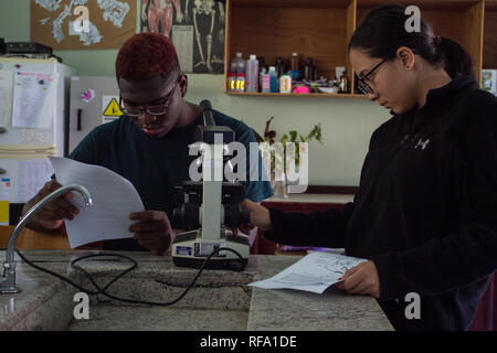 Two international school students wearing glasses are conducting a scientific observation using a microscope. One student is reading the instructions. Stock Photo