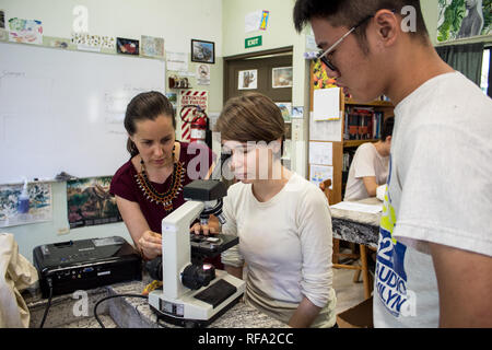 A photo of a female teacher instructing two international students on using a microscope. Investigating a biological sample in a biology class. Stock Photo