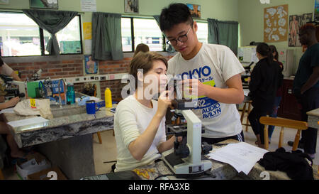 Two international baccalaureate students photographing a sample through microscope. Taken in a science class. Stock Photo