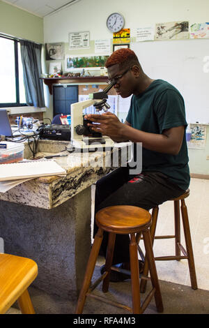 A international student sitting at the table and investigating a sample using a microscope. Taken in a fully furnished biology class Stock Photo