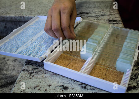 An illustrative photo of a hand of a scientist picking a microscopic slide for investigation. List with the names of the samples is included Stock Photo