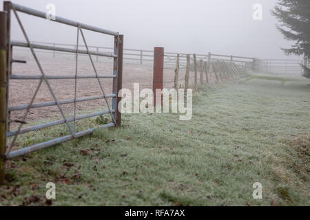 rural winter scene frosty misty foggy fence and gate line Stock Photo