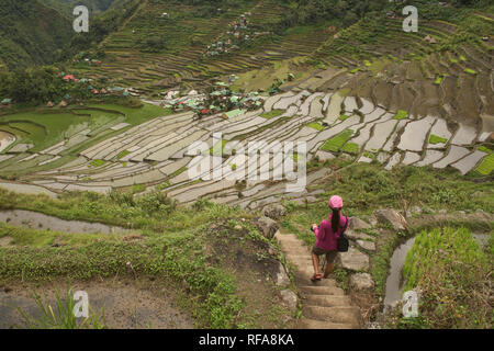 Hiking through the amazing UNESCO rice terraces of Batad, Banaue, Mountain Province, Philippines Stock Photo