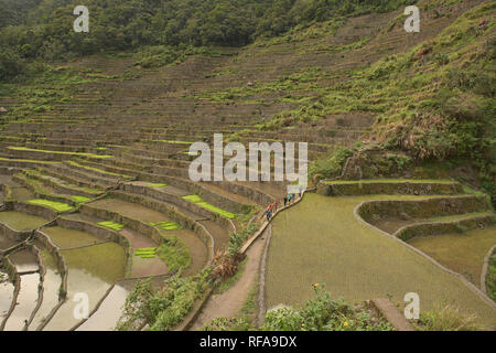 Hiking through the amazing UNESCO rice terraces of Batad, Banaue, Mountain Province, Philippines Stock Photo