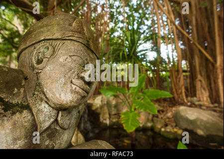 The garden near the Reception with the huge Banyan Tree (Ficus benghalensis) in the background, Fregate Island Private Seychelles, Indian Ocean Africa Stock Photo