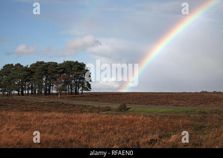 Rainbow over heathland Steephill Bottom New Forest National Park Hampshire England UK Stock Photo