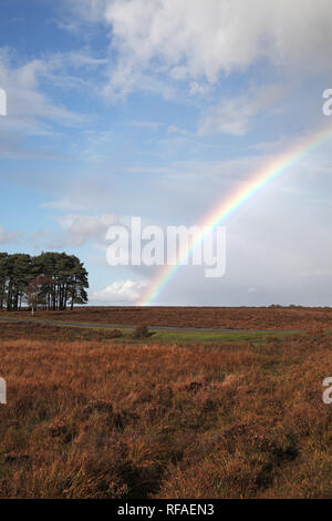 Rainbow over heathland Steephill Bottom New Forest National Park Hampshire England UK Stock Photo