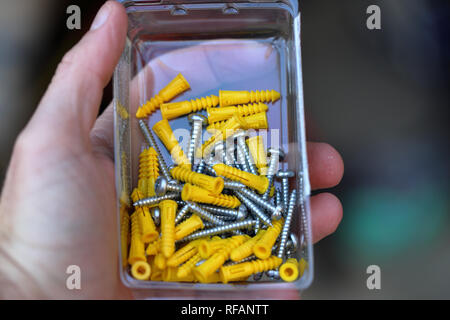 Hand holding box of screws and plastic anchors Stock Photo