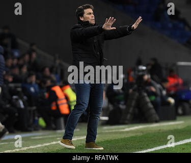 Real Betis manager Joan Francesc Ferrer Rubi during the match FC ...