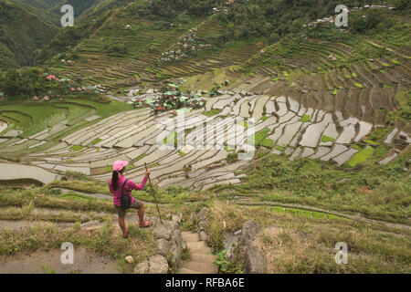 Hiking through the amazing UNESCO rice terraces of Batad, Banaue, Mountain Province, Philippines Stock Photo