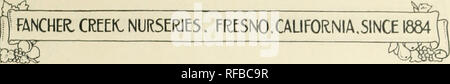 . Catalogue. Nursery stock California Fresno Catalogs; Fruit trees Seedlings Catalogs; Fruit Catalogs; Plants, Ornamental Catalogs; Trees Seedlings Catalogs; Shrubs Catalogs. . Please note that these images are extracted from scanned page images that may have been digitally enhanced for readability - coloration and appearance of these illustrations may not perfectly resemble the original work.. Fancher Creek Nurseries; Roeding, George Christian, 1868-1928; Henry G. Gilbert Nursery and Seed Trade Catalog Collection. Fresno, Calif. : Fancher Creek Nurseries Stock Photo