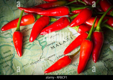 Bird's eye chili, Capsicum annuum, also known as piri piri is a common element in cuisine from Malawi. Stock Photo