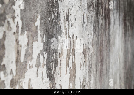 Side view of a weathered and old gray concrete wall, plaster is partly peeled off. Selective focus, shallow depth of field. Stock Photo