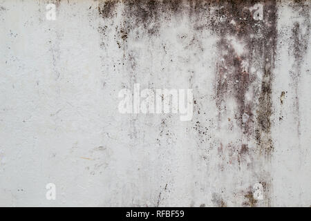 Close-up of a weathered, dirty and moldy plastered light gray concrete wall background. Stock Photo
