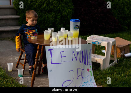 A 5-year old boy sits at a lemonade stand with cups and a pitcher of  lemonade Stock Photo - Alamy