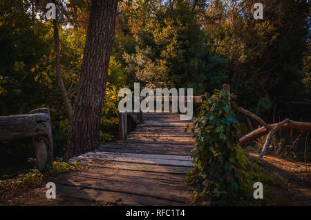 old wooden bridge in deep forest, natural background inside the forest of Villa Gesell, Argentina Stock Photo