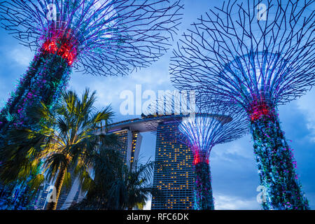 Singapore - January 2019: Gardens by the bay with the Supertree Grove in Singapore near Marina Bay Sands hotel  at night Stock Photo