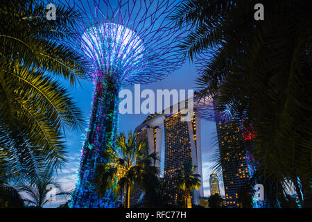 Singapore - January 2019: Gardens by the bay with the Supertree Grove in Singapore near Marina Bay Sands hotel  at night Stock Photo