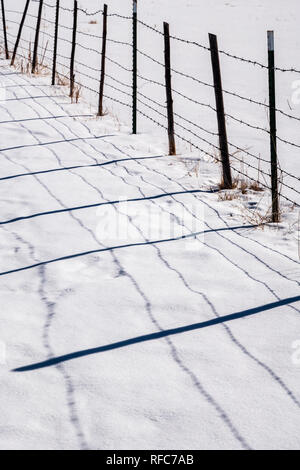 Barbed wire fence casts shadows on fresh snow; Vandaveer Ranch; Salida; Colorado; USA Stock Photo