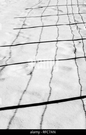 Black & white view of barbed wire fence casts shadows on fresh snow; Vandaveer Ranch; Salida; Colorado; USA Stock Photo