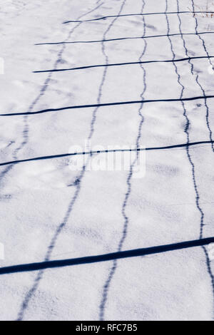 Barbed wire fence casts shadows on fresh snow; Vandaveer Ranch; Salida; Colorado; USA Stock Photo