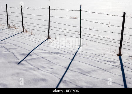 Barbed wire fence casts shadows on fresh snow; Vandaveer Ranch; Salida; Colorado; USA Stock Photo