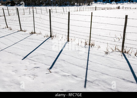 Barbed wire fence casts shadows on fresh snow; Vandaveer Ranch; Salida; Colorado; USA Stock Photo