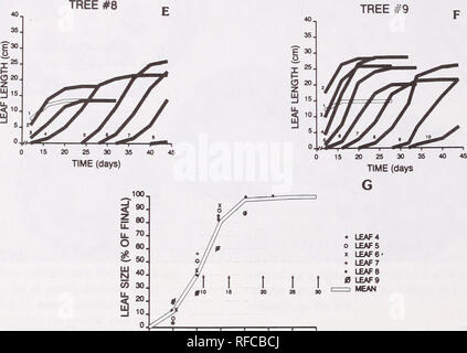 . Recent research on foliage diseases : conference proceedings : Carlisle, Pennsylvania, May 29-June 2, 1989. Leaves Diseases and pests United States Congresses. 1 5 9 13 17 21 25 29 TIME AFTER APPEARANCE (DAYS) Figure 2.—A-G. Leaf development of six green ash seedlings grown in the greenhouse. A-F. Size (leaf length) of individual leaves at up to 10 nodes. Length of one leaf per node measured from axillary leaf bud to tip of terminal leaflet. Leaves numbered in order of appearance from bottom to top of shoot. Growth curves of individual leaves based on a greenhouse grown green ash seedling tr Stock Photo