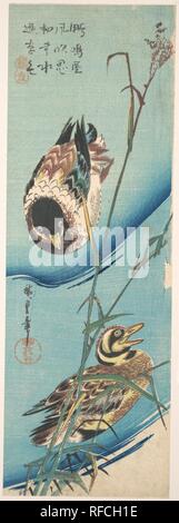 Mallard Ducks and Snow-covered Reeds. Artist: Utagawa Hiroshige (Japanese, Tokyo (Edo) 1797-1858 Tokyo (Edo)). Culture: Japan. Dimensions: H. 14 7/8 in. (37.8 cm); W. 5 1/16 in. (12.9 cm). Date: ca. 1843.  Kamo naku ya    kaze fuki-shiwamu    mizu no omo  A duck quacks--  as the wind wrinkles  the face of the water.  --Trans. John T. Carpenter. Museum: Metropolitan Museum of Art, New York, USA. Stock Photo