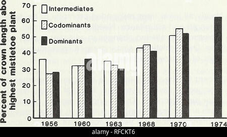 . Response of dwarf mistletoe-infested ponderosa pine to thinning. Arceuthobium Propagation; Ponderosa pine Diseases and pests; Ponderosa pine Thinning. Q 1956 1960 1963 1968 1970 1974 Year Figure 6 —Distribution, among crown thirds, of the total dwarf mistletoe plants (7,440) growing on 54 young ponderosa pines between 1945 and 1974. Plant numbers are reported just pre- ceding stand release in 1956; when most latent dwarf mistle- toe plants had emerged after stand release in 1960; immedi- ately preceding accelerated leader elongation in 1963; when rapid leader growth had stabilized in 1968; a Stock Photo