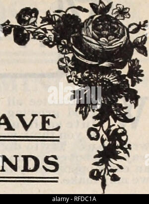 . [Catalogue]. Nursery stock Ohio Springfield Catalogs; Roses Catalogs; Plants, Ornamental Catalogs; Flowers Seeds Catalogs. ROSES OUR LE.ADING SPECIALTY ^ WE. HAVE. THEM BY THE HUNDREDSo/THOUSANDS. HILE our catalogue, as will be readily seen, contains a very choice assortment of all kinds of flowers, we wish to call your attention more especially to our very complete and choice list of Roses. We have gathered together not only in our own country, but also from foreign countries, all that is good. These we have thoroughly tested and we now have the pleasure of offering you the very cream of ex