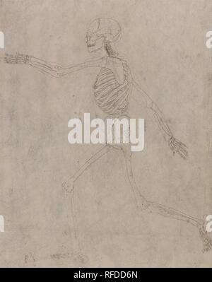 A Comparative Anatomical Exposition of the Structure of the Human Body with that of a Tiger and a Common Fowl: Human Skeleton, Lateral View. Date/Period: 1795 to 1806. Drawing. Ink with traces of graphite on thin, slightly textured, cream wove paper. Height: 451 mm (17.75 in); Width: 356 mm (14.01 in). Author: George Stubbs. Stock Photo