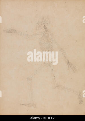 A Comparative Anatomical Exposition of the Structure of the Human Body with that of a Tiger and a Common Fowl: Human Skeleton, Lateral View. Date/Period: 1795 to 1806. Drawing. Graphite on thick, slightly textured, beige wove paper; pinholes at reference points near head. Height: 543 mm (21.37 in); Width: 406 mm (15.98 in). Author: George Stubbs. Stock Photo