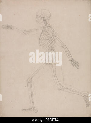 A Comparative Anatomical Exposition of the Structure of the Human Body with that of a Tiger and a Common Fowl: Human Skeleton, Lateral View. Date/Period: 1795 to 1806. Drawing. Graphite on thick, slightly textured, cream wove paper with traces of platemark. Height: 479 mm (18.85 in); Width: 378 mm (14.88 in). Author: George Stubbs. Stock Photo