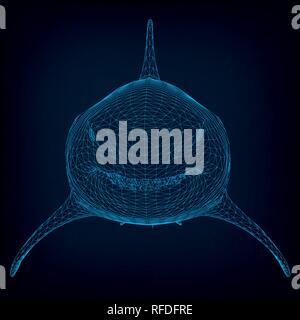 Polygonal shark wireframe model. Front view. Dark blue background. Vector illustation. Stock Vector