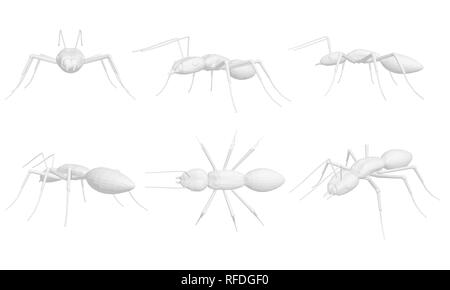 Set with ants. 6 polygonal ants in various positions. Isometry Vector illustration. Stock Vector