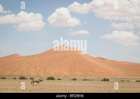 The otherworldly dunes and desert landscapes of Namib-Naukluft National Park make a beautiful day trip from Sesriem camp on the edge of the Namib Stock Photo