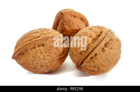 Walnut on white background. Raw walnut. The texture of the shell. Stock Photo
