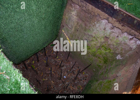 A spike booby trap at the Cu Chi tunnels. In Saigon, Ho Chi Minh City, Vietnam. Stock Photo