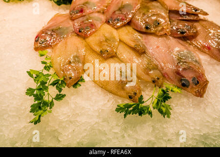 Different sorts of fresh fish are sold inside the Mercat de la Llibertat in the suburb Vila de Gràcia Stock Photo