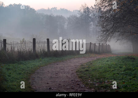 Misty path in the park on early foggy autumn morning. Old fence, autumnal trees and road going into perspective disappearing in fog Stock Photo