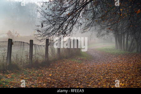 Misty path in the park on early foggy autumn morning. Old fence, autumnal trees and road going into perspective disappearing in fog Stock Photo