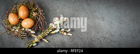 Speckled brown fresh Easter eggs in a twig nest with green moss and a bird feather over a dark slate background with copy space in a panorama banner f Stock Photo