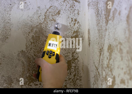Humidity is measured at a wall in the basement. Instrument indicates a wet wall. Stock Photo