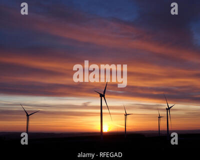 Wind farm at dawn, Monynut edge, Lammermuir hills near Dunbar, Scotland Stock Photo