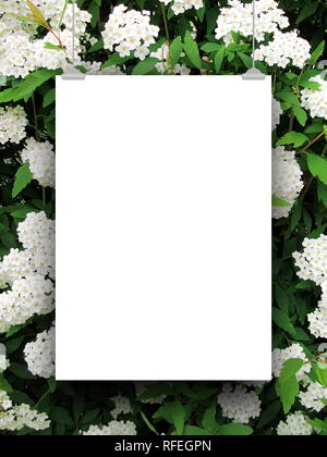 Blank frame against white blooms and green leaves background Stock Photo